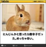 【お知らせ】