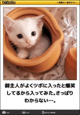 [お題]from:北区のコンドウさん