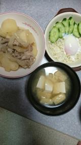 昨日の|ω•。 ))