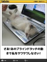 【お知らせ】