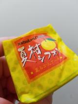 夏柑
