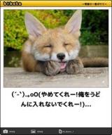 [お題]from:山梨の風俗命さん