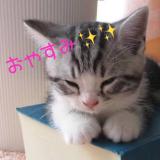 ♡こんばんは♡