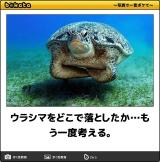 【お知らせ】