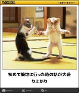 [お題]from:プーさん林家さん
