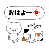 ♡(*Ü*)ﾉ"おはよ✲♡