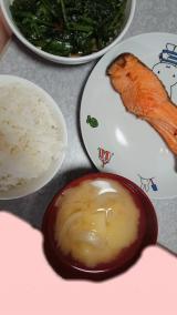 さかなっ(*´∀｀)