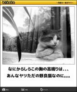 [お題]from:赤い彗星さん