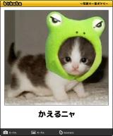 【お知らせ】