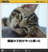 【お知らせ】