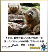 [お題]from:ピロタローさん