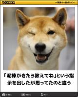 【お知らせ】