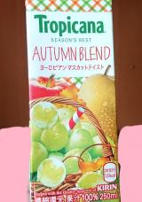 AUTUMN  BLEND