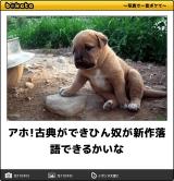 【お知らせ】