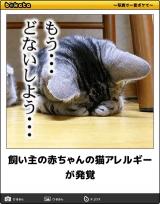 [お題]from:トットコのぶ太郎さん