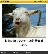 【お知らせ】