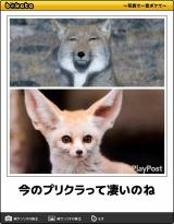 [お題]from:noblawyerさん