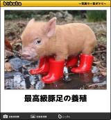 【お知らせ】