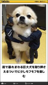 [お題]from:シロ鰤ハラマキーさん