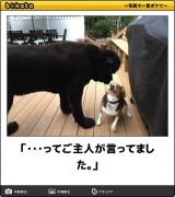 【お知らせ】