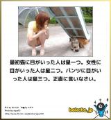 【お知らせ】