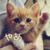 出勤しました