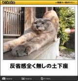 【お知らせ】