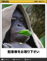 【お知らせ】