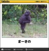 【お知らせ】