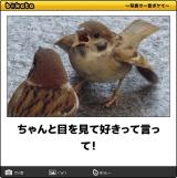 【お知らせ】