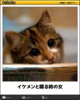 [お題]from:夢に向かって頑張ってさん