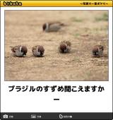 【お知らせ】