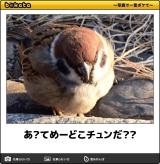 【お知らせ】