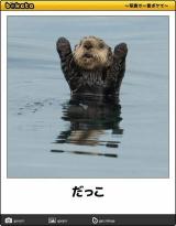 【お知らせ】