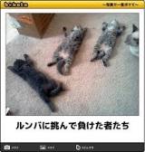 【お知らせ】