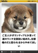 【お知らせ】
