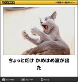 【お知らせ】