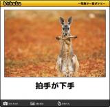 【お知らせ】