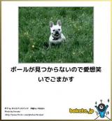 【お知らせ】