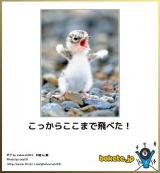 【お知らせ】