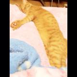 お礼