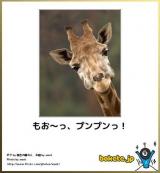 【お知らせ】
