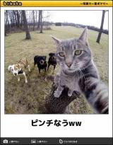 【お知らせ】