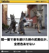 【お知らせ】