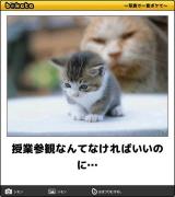 [お題]from:天然日和さん