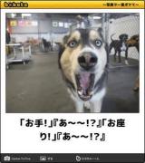 【お知らせ】
