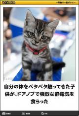 [お題]from:ｺｺｱﾝｼﾞｭさん