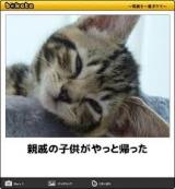 【お知らせ】