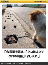 [お題]from:君繋さんさん