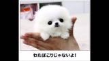 【お知らせ】
